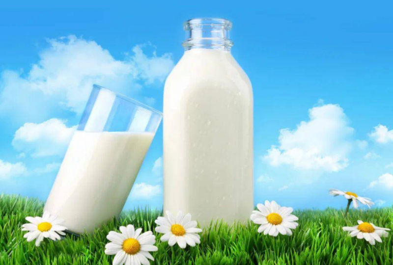 孕妇选择牛初乳和钙那个好（牛初乳和牛乳钙一样吗）