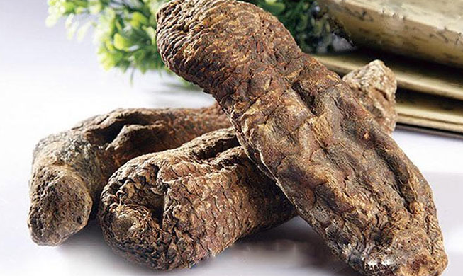 肉苁蓉的功效与作用(肉苁蓉的神奇效能,你知道几个?)