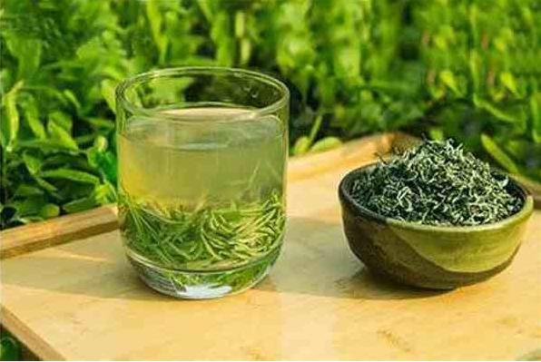 女生减肥必备这几种茶让你瘦身又健康