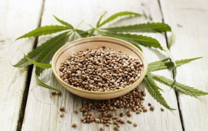 火麻因子的功效(火麻因子的神奇健康功效)