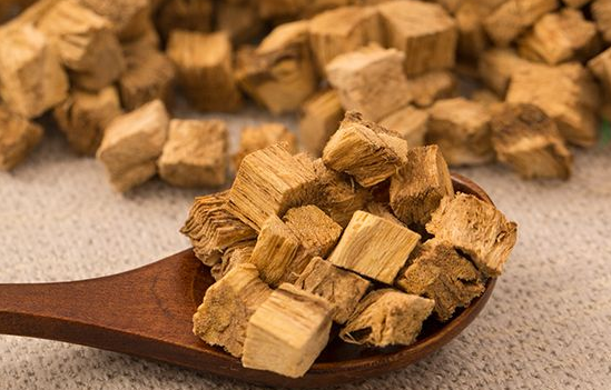 葛根肉碱的功效(葛根肉碱：唤醒健康代谢的能量拐点)