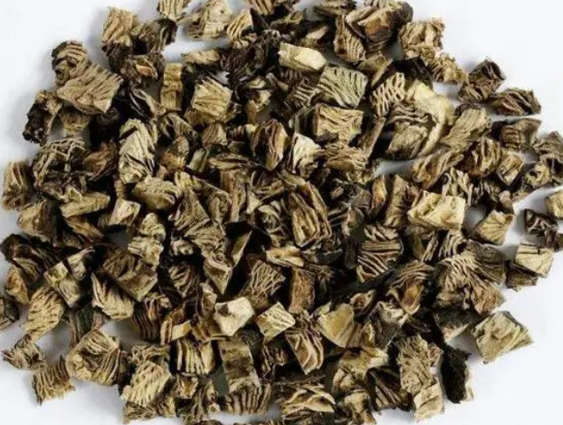 黑升麻的功效与作用及禁忌(黑森林草的禁忌及保健效用)