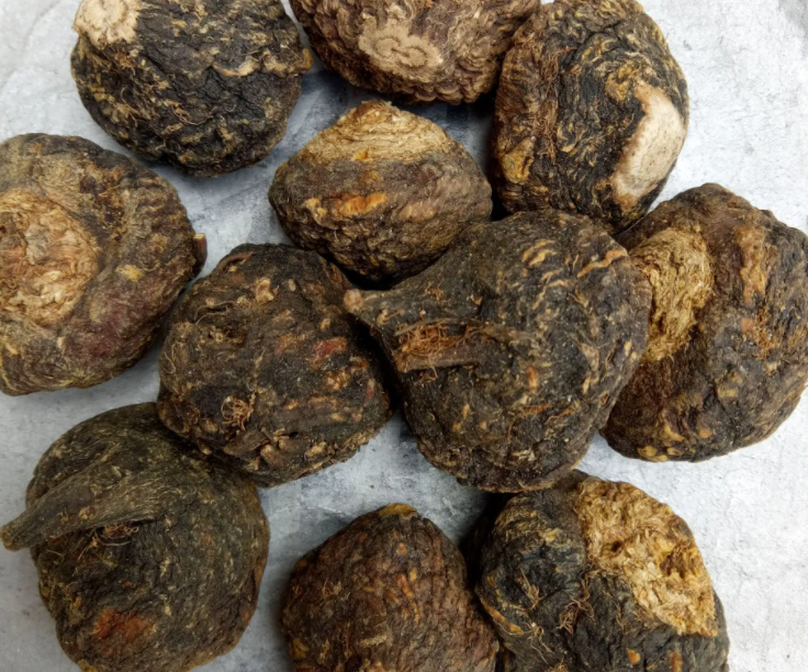 黑玛咖功效(黑妈咖啡的营养价值与功效详解)