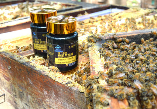 康富丽蜂胶软胶囊价格（康富来蜂胶胶囊多少钱）