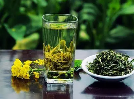 女生每天喝绿茶的好处（让你更健康更美丽）