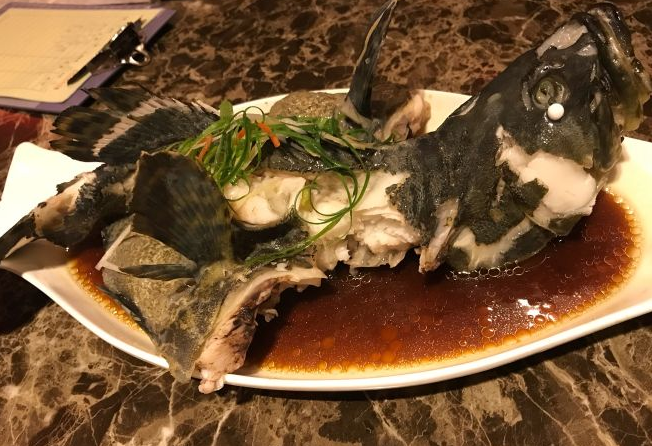 沙鱼的功效(沙鱼有哪些营养成分和功效？)