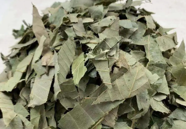 淫羊藿实际功效(淫羊藿提高男性性功能的草药)