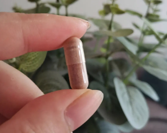 美容养颜保健品葡萄籽(葡萄籽：美貌与健康的双重宝藏)