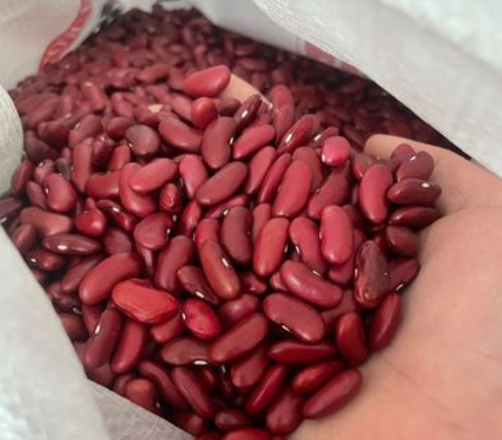 芸豆籽功效(芸豆籽保健价值新发现，让你健康更简单！)