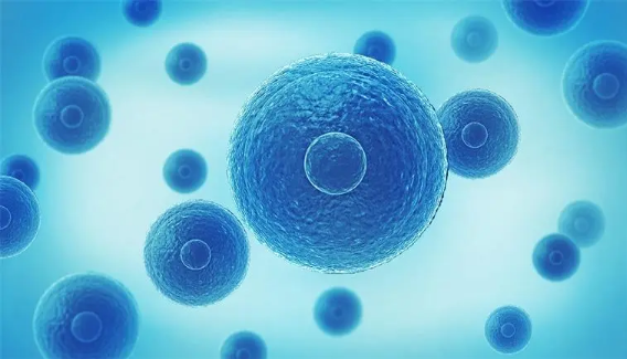 男性如何保护精子质量(男人补精可以吃哪些食物)