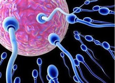 影响精子质量的因素是什么（饮食不当会损害精子质量吗）