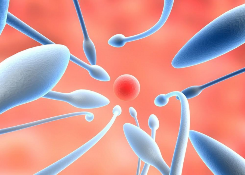 影响精子质量的因素是什么(7大因素影响性爱质量)