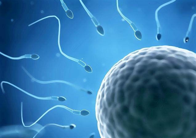 如何提高精子质量与成活率（提高精子质量最佳方法）