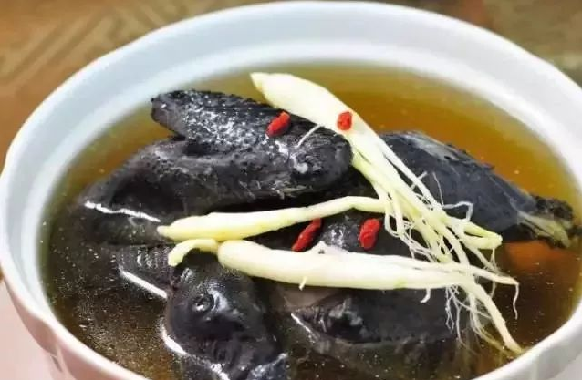 吃什么补精养肾强精（吃什么能快速补肾增精）