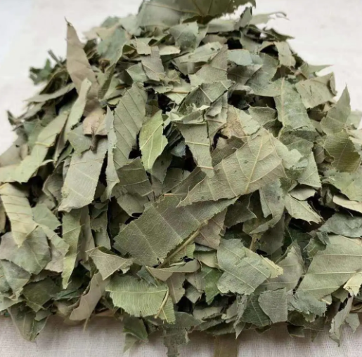 淫羊藿作用与功效（10大壮阳最好最快药）