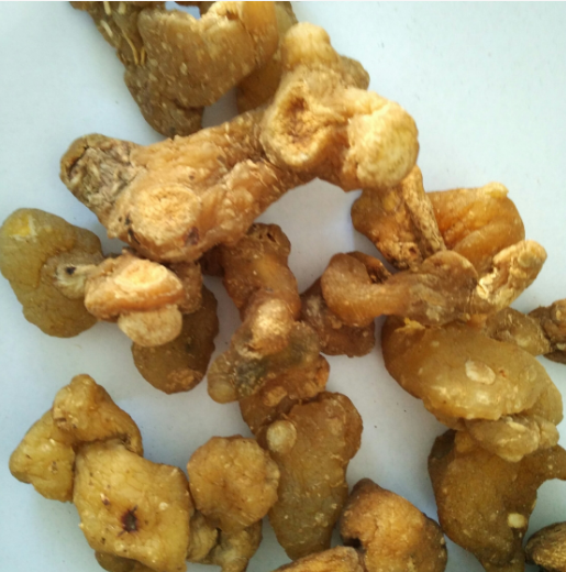 黄精的副作用（菟丝子的作用和功效）