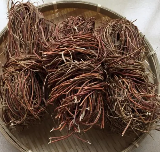 鸡骨草的副作用（鸡骨草的副作用 鸡骨草的食用禁忌）