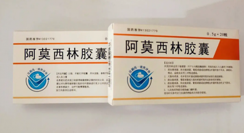 阿莫西林的作用（阿莫西林的作用功效一天吃几次）