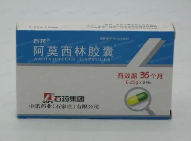 阿莫西林的作用功效（阿莫西林的作用功效用量）