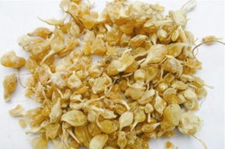 薤白的功效与作用（薤白的功效与作用和小根蒜是一个物）