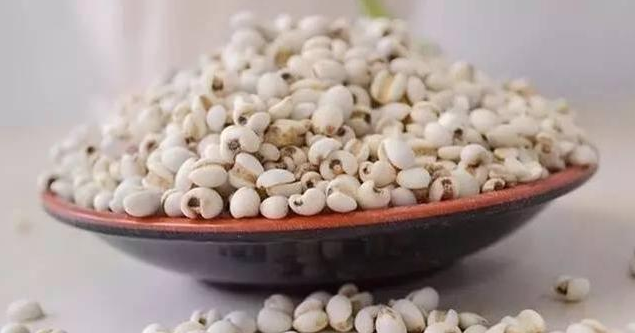 薏仁的功效与作用（薏仁的功效与作用与副作用）