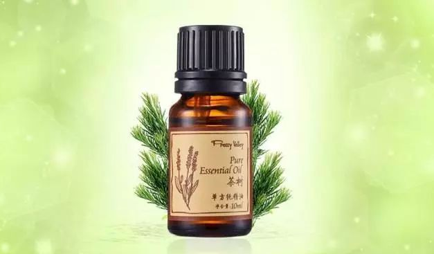 茶树精油的功效与作用（薰衣草精油的功效与作用）