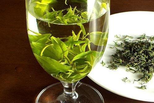 苦丁茶的功效与作用（苦丁茶对男人性功能作用）