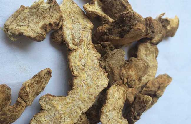 苍术功效与作用（黄柏配苍术功效与作用）