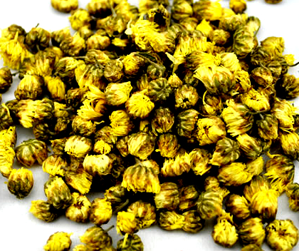 胎菊的功效与作用（胎菊的功效与作用禁忌）
