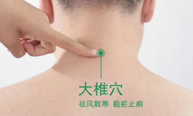 大椎的准确位置图和作用（大椎的准确位置图和作用）