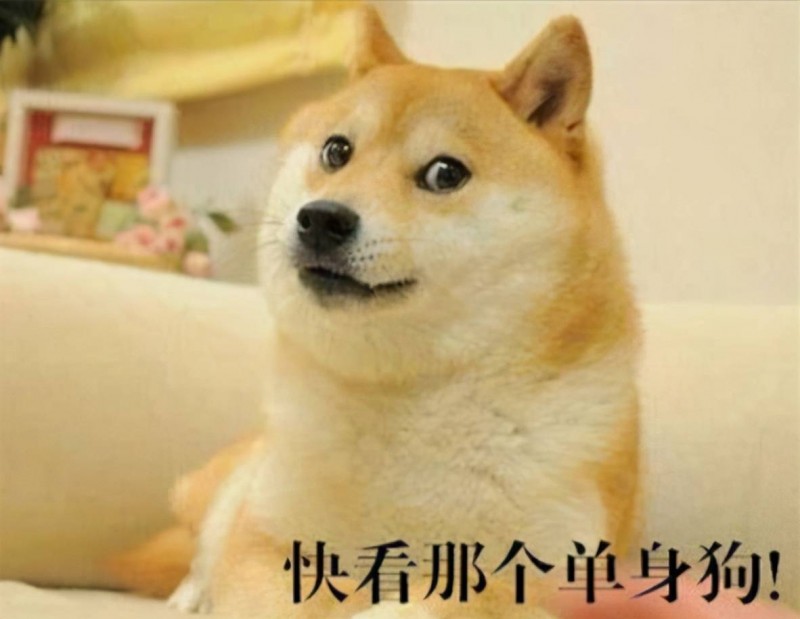 长期单身会少活10年?(长期单身的危害)