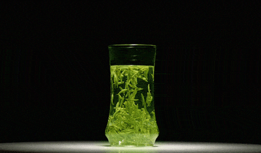 竹叶青的功效与作用（中药竹叶青的功效与作用）