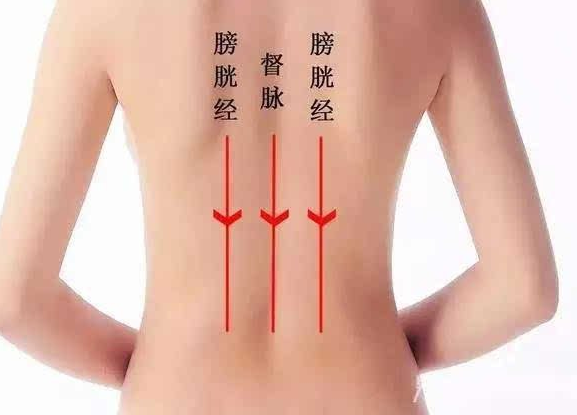 督脉的作用（督脉的作用和功能主治）