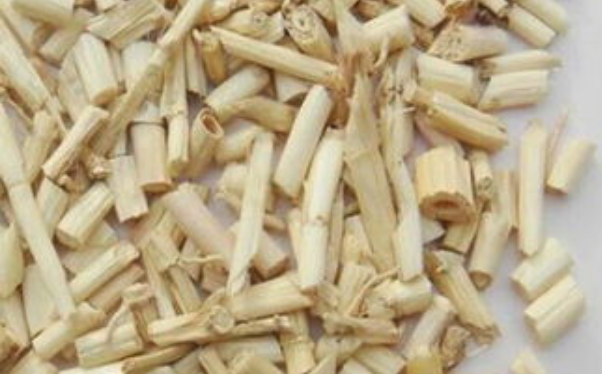 白茅根的功效与作用及食用方法（白茅根的功效与作用及副作用）
