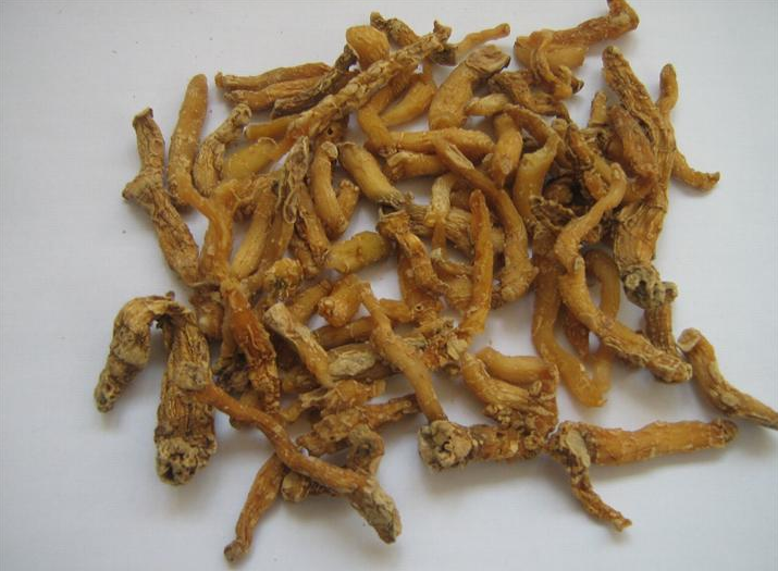 玉竹的副作用（玉竹的副作用和禁忌症）