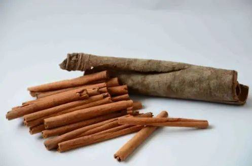 桂皮的功效与作用（桂皮的功效与作用的功能与主治与用量）