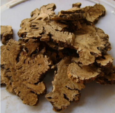 川穹的功效与作用（川穹的功效与作用禁忌与副作用有哪些）
