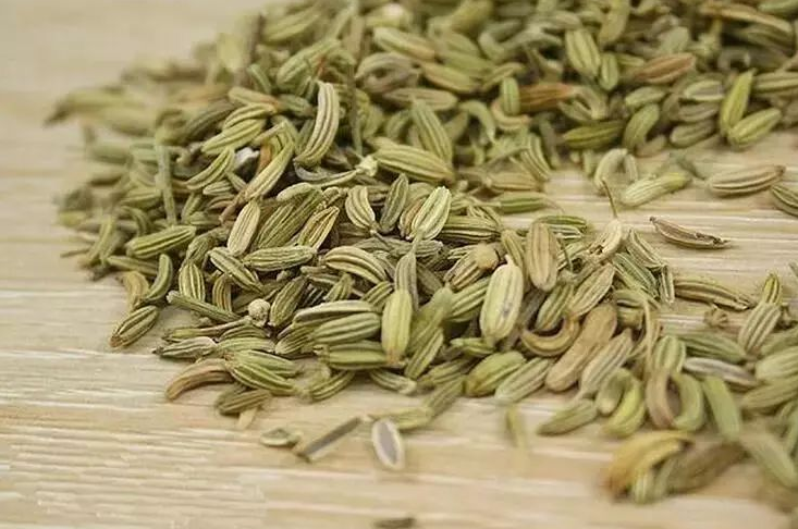 小茴香的副作用（小茴香的副作用与禁忌）