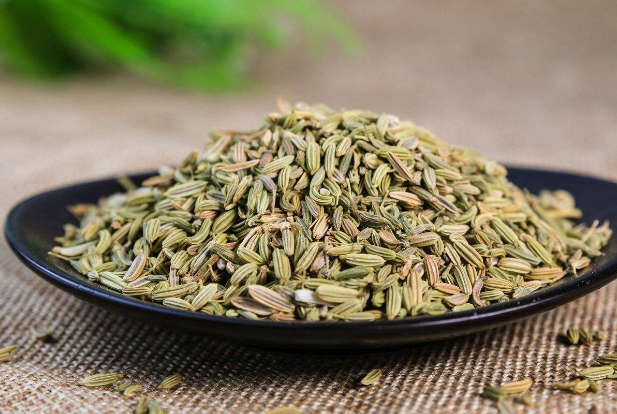 小茴香的作用（小茴香的作用与功效用量）