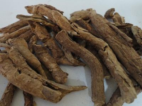 五加皮的功效与作用(牛膝的功效与作用)