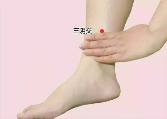 三阴交的作用（足三里对女性的好处）