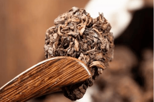 茶虫有什么作用是什么（茶饼里面有茶虫还能喝吗）