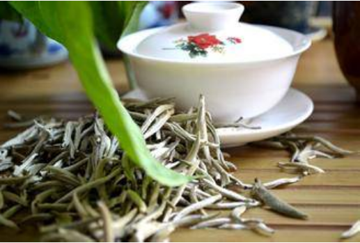 白茶的功效与作用，喝白茶有什么禁忌？