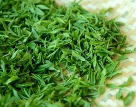 明前茶的功效与作用（明前茶的功效与作用百度百科）