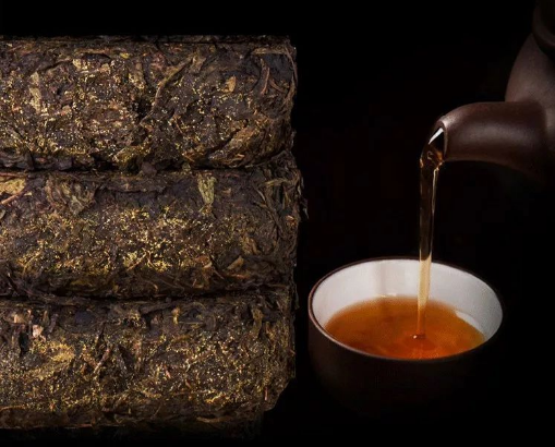 安化黑茶是什么茶（安化黑茶是什么茶品种）