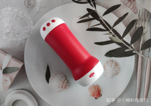 女王用飞机杯调教（用飞机托运货物的流程）