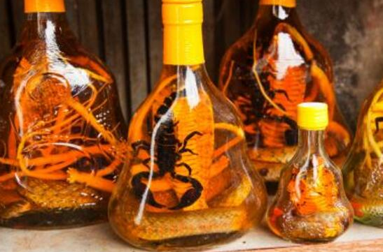 前列腺炎能喝壮阳酒吗（揭秘壮阳酒对前列腺炎患者的影响）