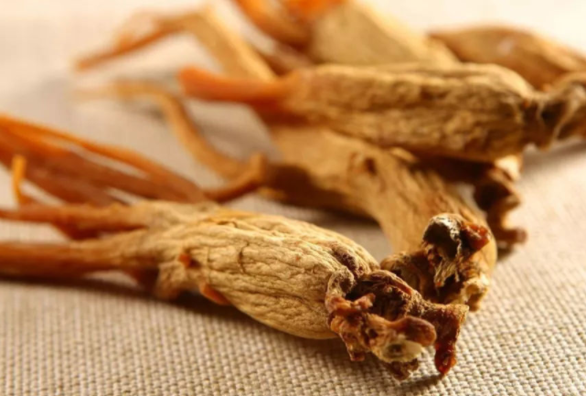 治肾虚吃什么药（这4种药物是首选）