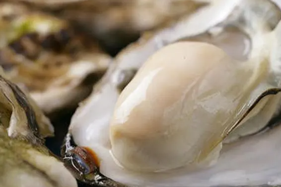 牡蛎真的能壮阳吗（其实这些食物不壮阳）