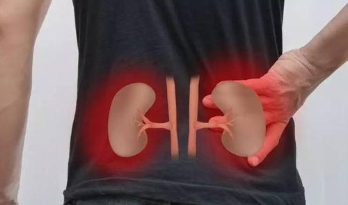 肾虚寒的症状（肾虚寒如何调养）